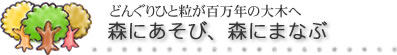 どんぐりひと粒が百万年の大木へ　森に遊び、森にまなぶ